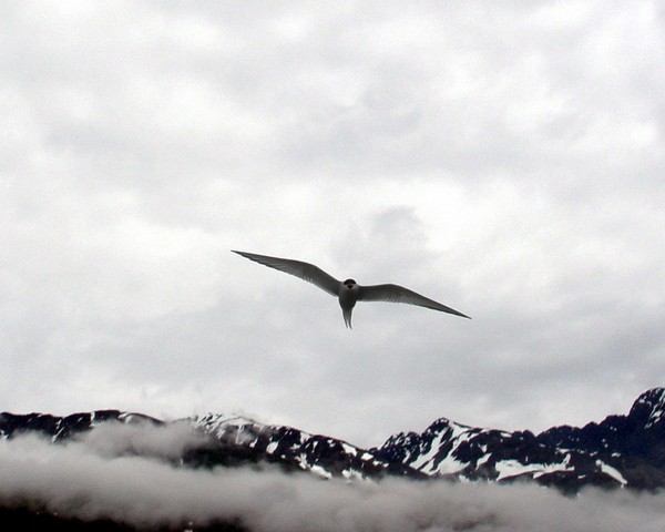 2004-06-07 3388 Valdez
