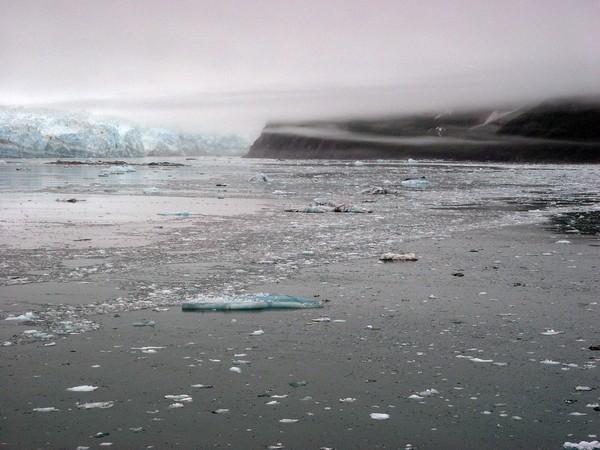 2004-06-08 3431 Yakutat Bay, Hubbard Glacier