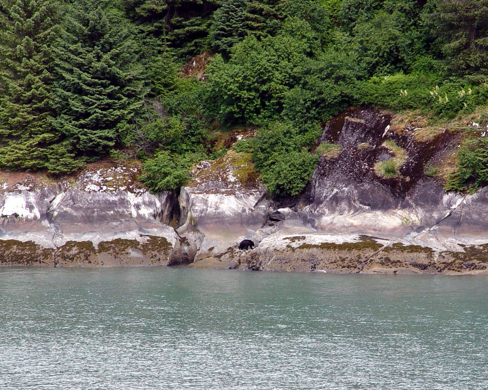 2004-06-10 3554 Tracy Arm Fjord